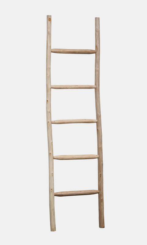  Decorative rustic ladder in natural eucalyptus wood.