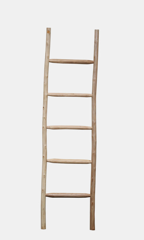  Decorative rustic ladder in natural eucalyptus wood.