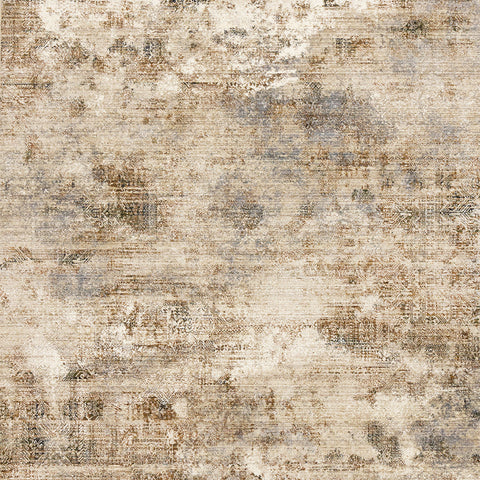 Serene Distressed Rug - Southwestern sample